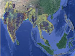Satellite imagery to soon enable large-scale monitoring of Asia’s rice areas